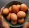 Berikut 5 Makanan Berprotein Pengganti Telur