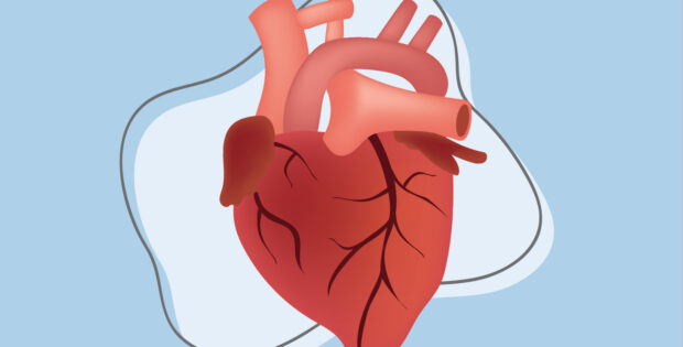 Penyakit Jantung Iskemik Berbahayakah?
