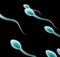 Ketahui Fakta Mengenai Sperma